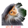 Marathi mems 7