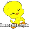 Buenos días, pitudo