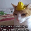 listo para construir un
futuro a tu lado mailov