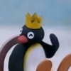 Pingu  11