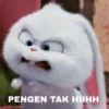 PENGEN TAK HIIHH