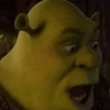 As melhores do Shrek 😹 13