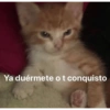 Ya duérmete o t conquisto