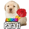 Stickerely AMOR Para ti