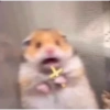Meme reaction 2 20