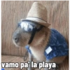 vamo pa' la playa
