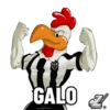 Figurinhas GALO 2021 2.0 7