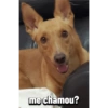me chamou?