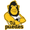 Tú
puedes