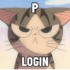 P
LOGIN