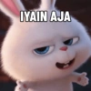 IYAIN AJA
