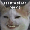 ESE DÍA SÍ ME MAME