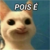 ANIMAIS E REAÇÕES 11