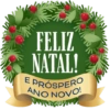 FELIZ NATAL! E PRÓSPERO ANO NOVO!