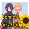 bom dia
girassóis