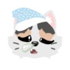Pack de gatita graciosa 21