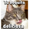 Tu boquita
deliciosa