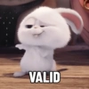 VALID