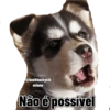 @buckhuskysib
eriano
Não é possível