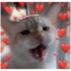 IG: Wholesome Waffles
