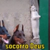 socorro Deus