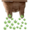 STICKERSMN