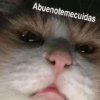 Abuenotemecuidas