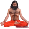 INDIAN BABA'S  12