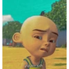 paan sih