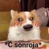 IN *C sonroja*