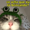ce acha que eu
to brincando?
O