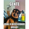 2013 GENTE OLEL QUAL A NECESSIDADE DISSO?