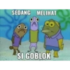 Patrick 6