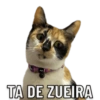 Pys TA DE ZUEIRA