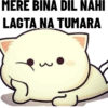 FUNNY STICKER PACK 26