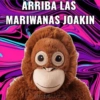 ARRIBA LAS MARIWANAS JOAKIN @jordanz.a