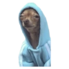 Memes de animais 11