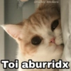 Toi aburridx