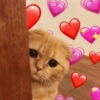 💖💞Love Reactions💞💖 15