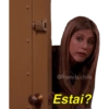 @friends.chile
Estai?