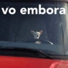 vo embora