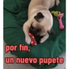 por fin, un nuevo pupete