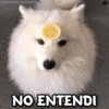 @Giseelove_Stickers
NO ENTENDI