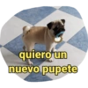 quiero un nuevo pupete