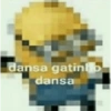 dansa gatinho dansa