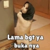 Lama bgt ya
buka nya