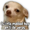Cuánta maldad hay en ti de veras