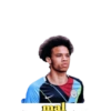 mal