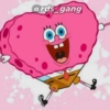 ards gang