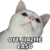OYE, HAZME CASO